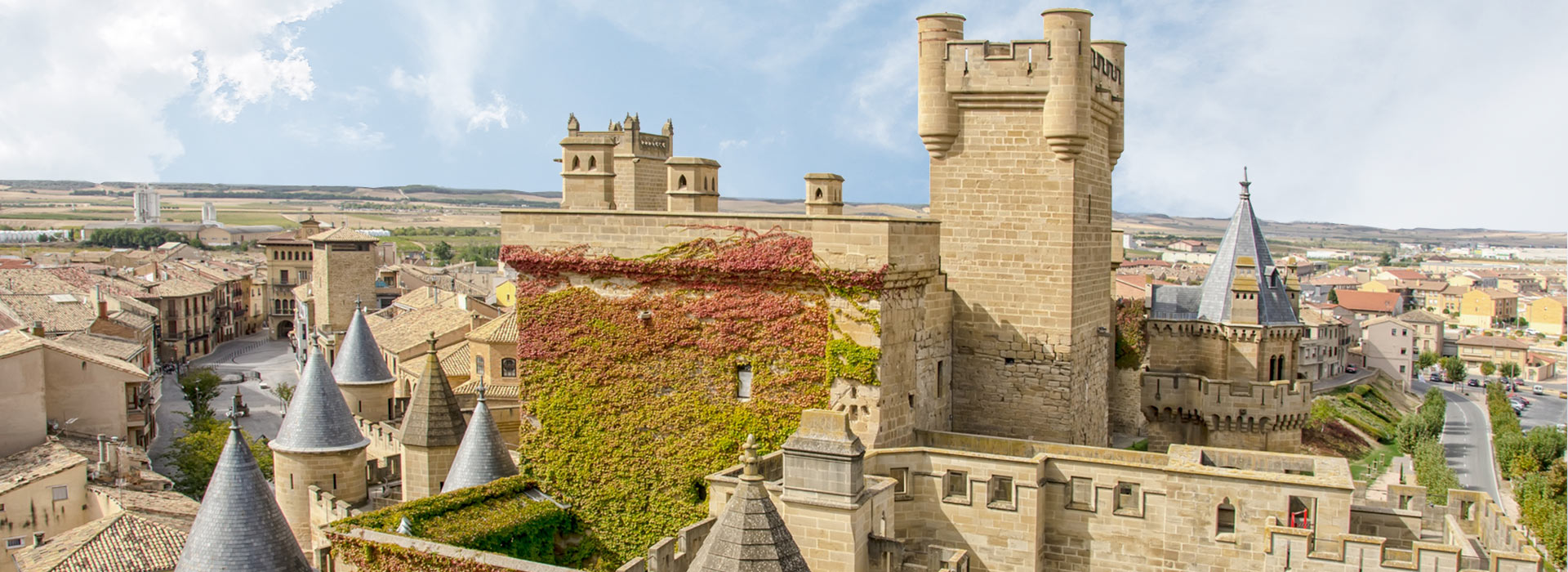 Vistas del Castillo de Olite